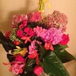 Diane Burr - @diane_burr - Instagram