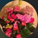 Diane Burr - @diiane.burr - Instagram