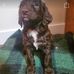 Diane Burr - Facebook