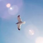 Diane Hubbell Burroughs - @dianemb888 - Instagram