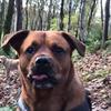 Diane Burrow - @user2521791 - TikTok