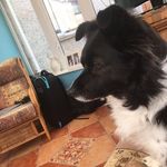 Diane Burrows - @diane.burrows.923519 - Instagram