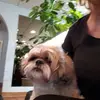 Dianne Burt - @dianneburt0 - TikTok
