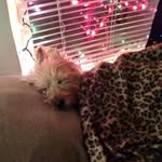 Diane Bucholz Busch - @diane_busch - Instagram