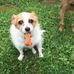 Diane Busch - Facebook