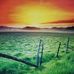 Diane Busch - Facebook