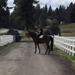 Diane Busch - @busch591 - Instagram