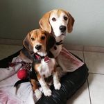 Diane Buß - @diane_buss - Instagram