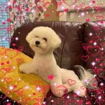 Diane Jennusa Buster - @buster.diane37 - Instagram