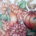 Diane Buttimer - Facebook