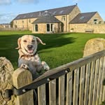 Diane Buxton - @diane.buxton.10 - Instagram
