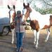 Diane Buxton - Facebook