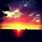 Diane Calhoun - @dianecalhoun365 - Instagram
