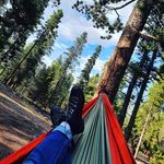 Diane Calhoun Walker - @walkerdiane96 - Instagram