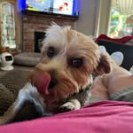 Diane Cancilla - @auntdi1954 - Instagram