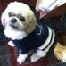 Diane Carl - Facebook