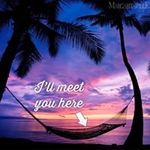 Diane Wambach Carrier - @wambachcarrier - Instagram