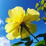 Diane Cartwright - @cyberdi99 - Instagram