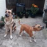 Diane Cartwright - @diane.cartwright.7146 - Instagram