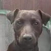 Dianne Cartwright - @dianne.cartwright - TikTok