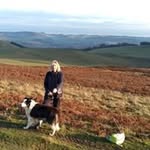 Diane Cassidy - @dianecassidy223 - Instagram
