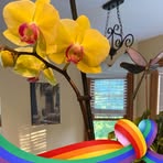 Diane Caudill - Facebook