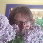 Diane Cave - @marydiane1948 - Instagram