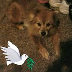 Diane Cave - @cave_diane - Instagram
