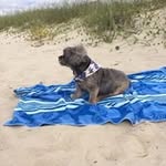 Diane Chance - @chance.diane - Instagram