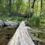 Diane Chester - @diane36i - Instagram