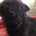 Diane Chestnut - Facebook