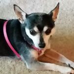 Diane Chrisman - @ladychrisman - Instagram