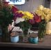 Diane Clark - Facebook