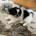 Diane Clark - @dianeclark6644 - Instagram