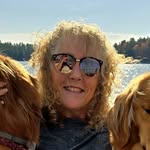 Diane Clark - @dianeclark61 - Instagram