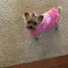 Diane Clark - @diane.clark282 - TikTok