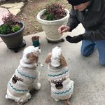 Diane Clements - @dcleme4345 - Instagram