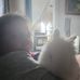 Diane Clements - Facebook