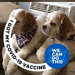 Diane Clements - @diane5033 - Instagram