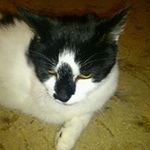 Diane Clements - @dianeclements2 - Instagram