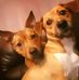 Diane Clements - Facebook