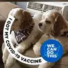 Diane Clements - @diane.clements4 - TikTok