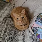 Diane DeLukie Clewell - @sdclewell - Instagram