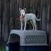 Diane Climer - Facebook