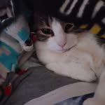 Diane Hoyle Clouse - @diane.h.clouse.5 - Instagram
