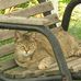 Diane Cloyd - Facebook