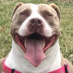 Diane Cocozza - @cocozzadiane2023 - Instagram