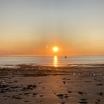 Diane Codling - @dianecodling4 - Instagram