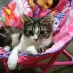 Diane Codling - Facebook