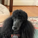 Diane Codner - @keowee98 - Instagram